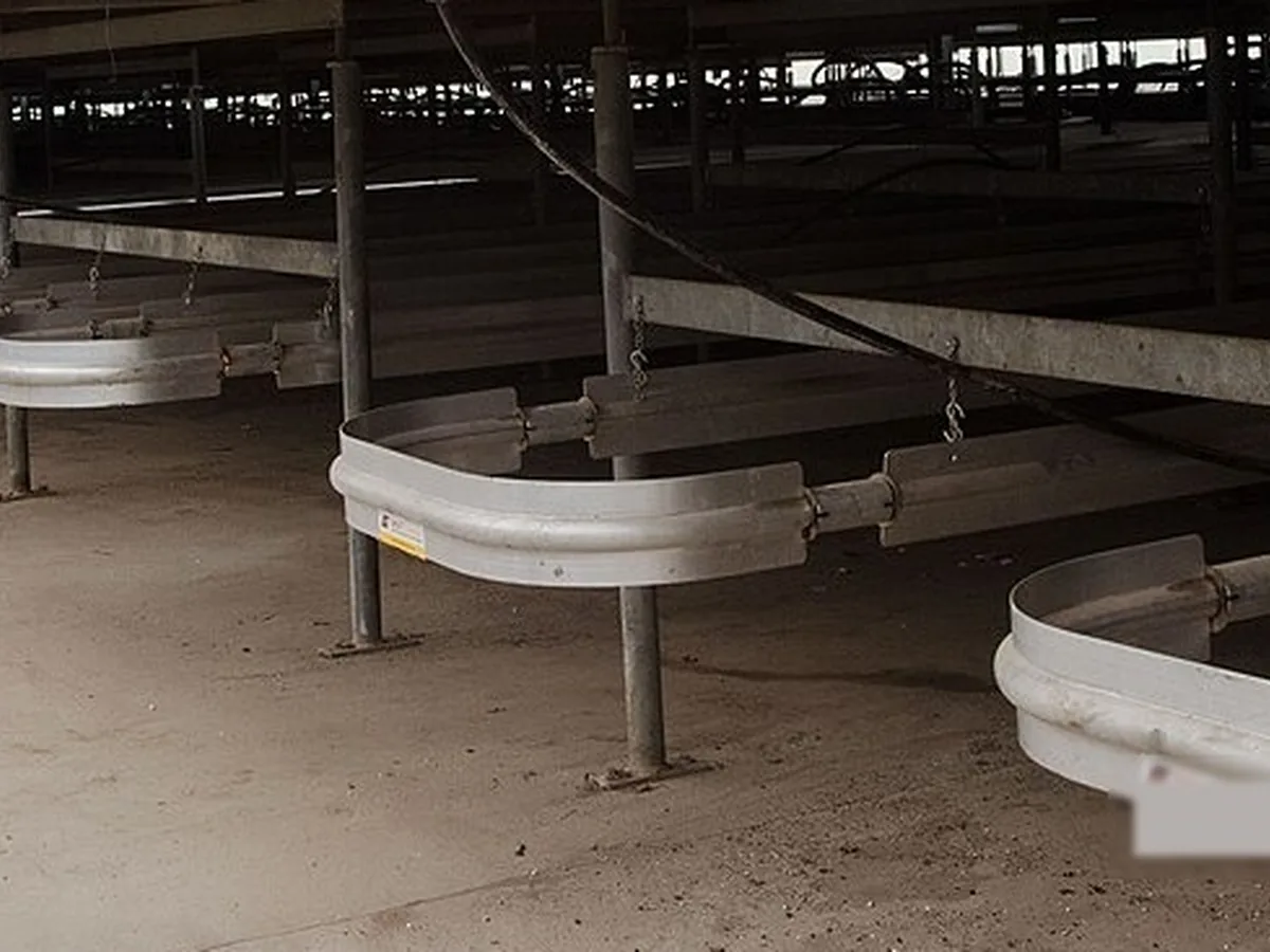 Suspended gas radiant U-tube heaters with metal reflectors hung on chains